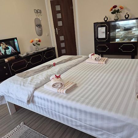 Bed and Breakfast Casa Ana Maria Cisnădie Zewnętrze zdjęcie