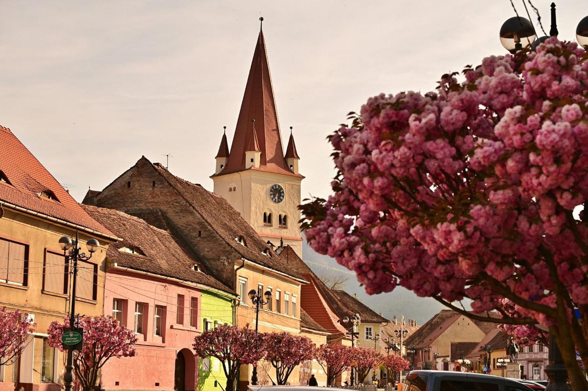 Bed and Breakfast Casa Ana Maria Cisnădie Zewnętrze zdjęcie