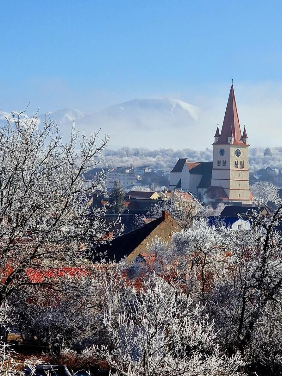 Bed and Breakfast Casa Ana Maria Cisnădie Zewnętrze zdjęcie